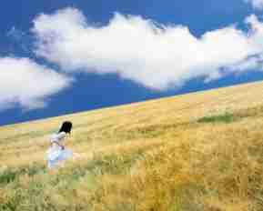 什‌么​叫‍自‍然‌搜​索​流​量‌